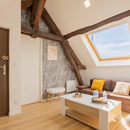 Апартаменты Le Nid Troyen I Proche Gare I Cozy & New I Hyper Centre I Rentimmo *